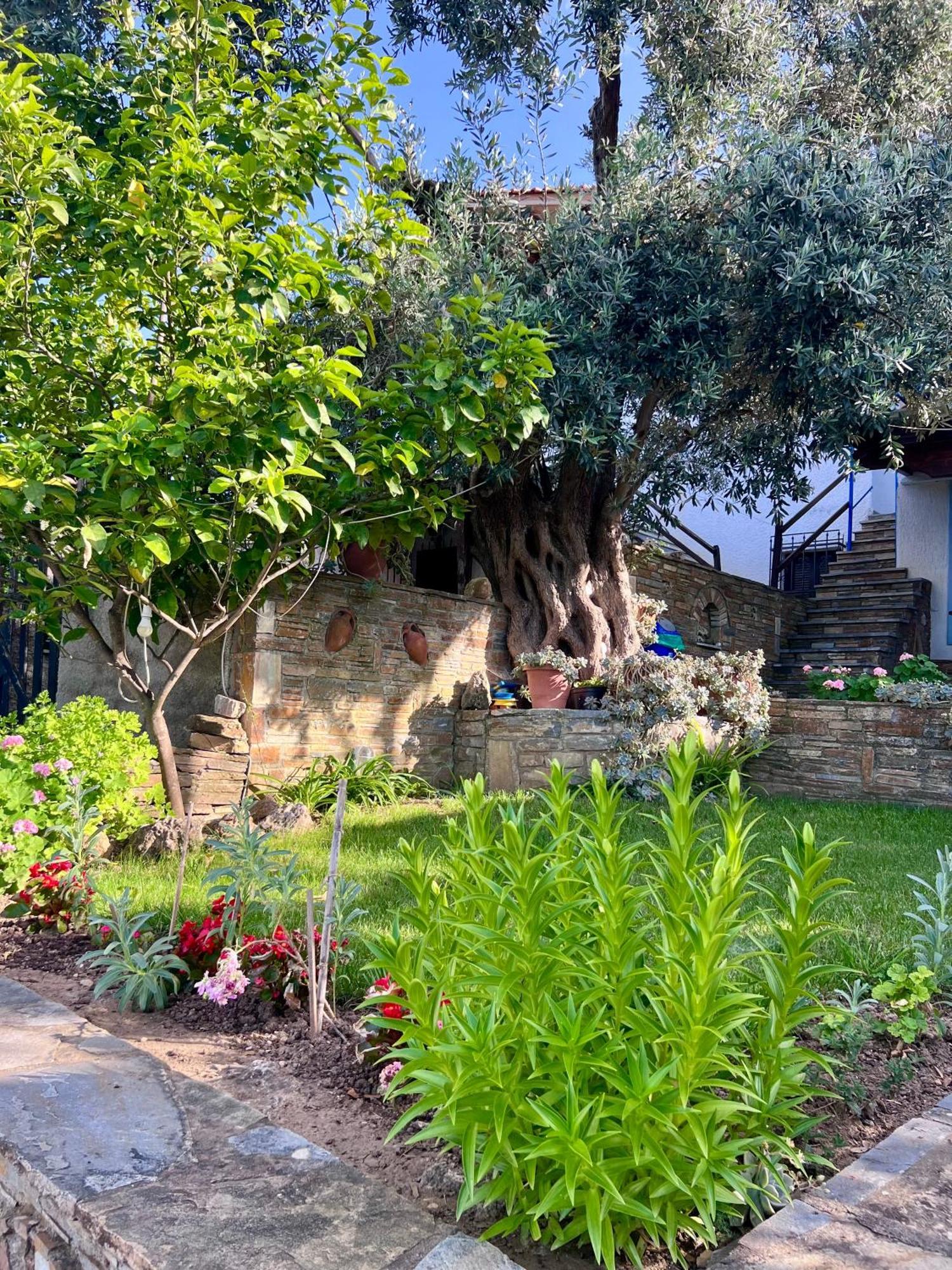 Villas Nies Seaside Appartments Sourpi 外观 照片